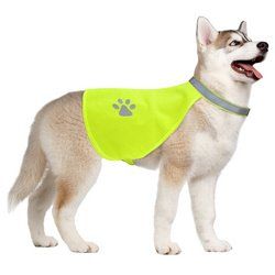 Large Hi-Vision Reflective Safety Vest